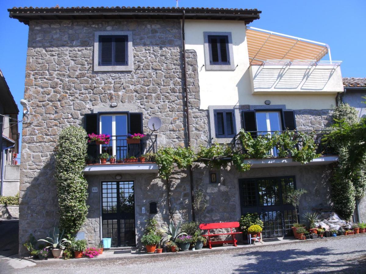 Bed and Breakfast I Tulipani Olandesi Zepponami Zewnętrze zdjęcie